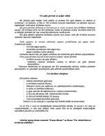 Referāts 'SIA dibināšana', 6.