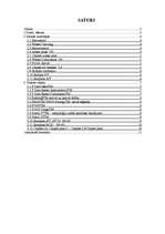 Referāts 'Pirelli autoriepas', 2.