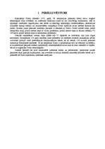 Referāts 'Pirelli autoriepas', 3.