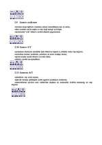 Referāts 'Pirelli autoriepas', 6.