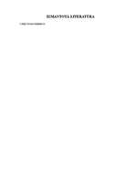 Referāts 'Pirelli autoriepas', 11.