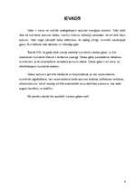 Referāts 'Gāzes katli apkurei', 6.