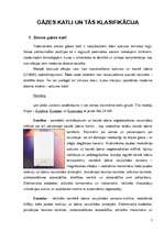 Referāts 'Gāzes katli apkurei', 7.