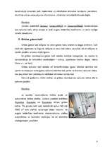 Referāts 'Gāzes katli apkurei', 9.