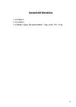 Referāts 'Gāzes katli apkurei', 17.