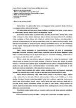 Konspekts 'Bankas bilances un peļņas vai zaudējumu aprēķina raksturojums', 1.