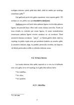 Referāts 'Tiesiskie darījumi', 17.