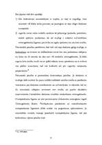 Referāts 'Tiesiskie darījumi', 31.