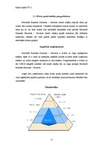 Referāts 'Business Solutions - Navision', 10.