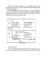 Referāts 'Preces dzīves cikla raksturojums', 23.