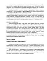 Konspekts 'Romāns', 7.