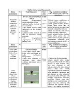 Konspekts 'Spēka izturības attīstīšana plecu, krūšu, roku muskulatūrai un dziļās muskulatūr', 2.