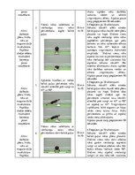 Konspekts 'Spēka izturības attīstīšana plecu, krūšu, roku muskulatūrai un dziļās muskulatūr', 3.