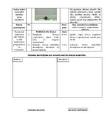 Konspekts 'Spēka izturības attīstīšana plecu, krūšu, roku muskulatūrai un dziļās muskulatūr', 4.