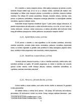 Referāts 'Eiropas Savienības politika', 21.