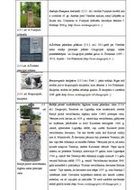 Referāts 'Monumentālā tēlniecība Daugavpilī', 16.