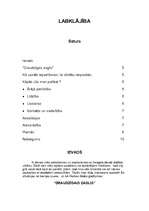 Referāts 'Kāpēc Jūs man patīkat', 1.