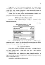 Biznesa plāns 'Biznesa plāns. Krogs SIA "Sovjet"', 13.