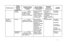 Konspekts 'Rotaļnodarbība āra vidē - Daba mostas', 2.
