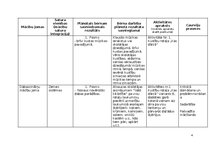 Konspekts 'Rotaļnodarbība āra vidē - Daba mostas', 4.