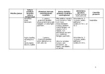 Konspekts 'Rotaļnodarbība āra vidē - Daba mostas', 6.
