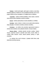 Referāts 'Efektīvs vadītājs', 5.