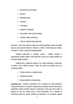 Referāts 'Efektīvs vadītājs', 8.