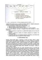 Konspekts 'Transporta pakalpojumu ekonomika un organizācija', 5.