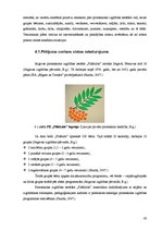 Diplomdarbs 'Vērtīborientētas nodarbības kā bērnu pozitīvās attieksmes veidotājas pirmsskolā', 42.