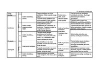 Diplomdarbs 'Vērtīborientētas nodarbības kā bērnu pozitīvās attieksmes veidotājas pirmsskolā', 87.