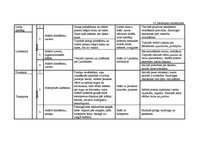 Diplomdarbs 'Vērtīborientētas nodarbības kā bērnu pozitīvās attieksmes veidotājas pirmsskolā', 93.