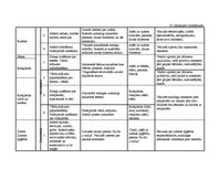 Diplomdarbs 'Vērtīborientētas nodarbības kā bērnu pozitīvās attieksmes veidotājas pirmsskolā', 96.