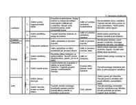 Diplomdarbs 'Vērtīborientētas nodarbības kā bērnu pozitīvās attieksmes veidotājas pirmsskolā', 99.