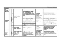 Diplomdarbs 'Vērtīborientētas nodarbības kā bērnu pozitīvās attieksmes veidotājas pirmsskolā', 117.
