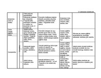 Diplomdarbs 'Vērtīborientētas nodarbības kā bērnu pozitīvās attieksmes veidotājas pirmsskolā', 132.
