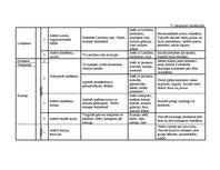 Diplomdarbs 'Vērtīborientētas nodarbības kā bērnu pozitīvās attieksmes veidotājas pirmsskolā', 141.