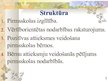 Diplomdarbs 'Vērtīborientētas nodarbības kā bērnu pozitīvās attieksmes veidotājas pirmsskolā', 149.