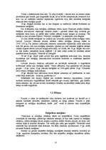 Referāts 'Mežģīnes', 18.