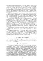 Referāts 'Mežģīnes', 23.