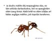 Prezentācija 'Sabiedriskie kukaiņi', 7.