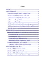 Diplomdarbs 'Interneta resursu izmantošanas modelis reklāmas mērķos Latvijā', 3.