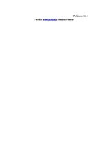 Diplomdarbs 'Interneta resursu izmantošanas modelis reklāmas mērķos Latvijā', 94.