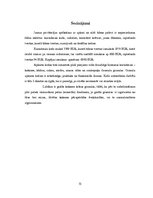 Referāts 'Koka skaidu granulu izmantošana privātmājas apkurināšanai ar koka skaidu granulu', 31.