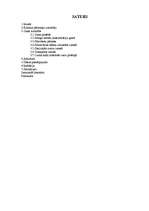 Referāts 'Vides piesārņojums', 1.