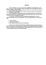 Referāts 'Vides piesārņojums', 2.