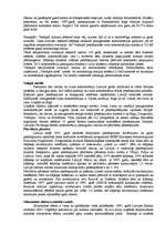 Referāts 'Vides piesārņojums', 5.