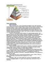 Referāts 'Vides piesārņojums', 15.