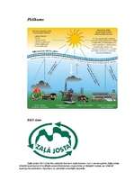 Referāts 'Vides piesārņojums', 17.