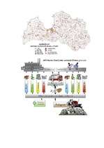 Referāts 'Vides piesārņojums', 18.