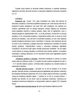 Diplomdarbs 'Ārzonu kompāniju izmantošana starptautiskajā komercdarbībā: ārzonu tirdzniecības', 39.